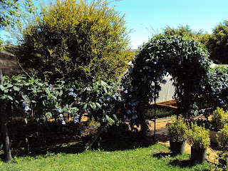 Entrada do Herbarium